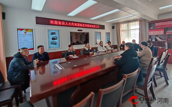 ​人大视察发挥监督职能 民生实事绘就幸福底色——西平县权寨镇人大代表团开展集中视察活动